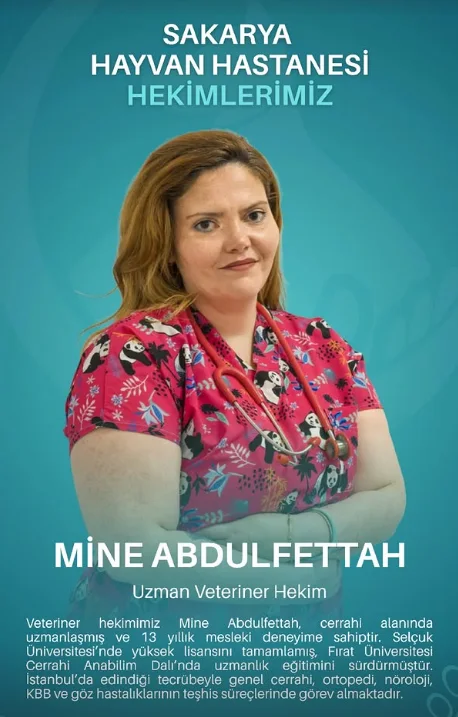 Mine Abdulfettah